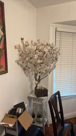 Cherry Blossom Flower Tree