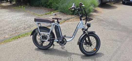 Radrunner Plus (393 Miles) with passenger and cargo kit plus accessories