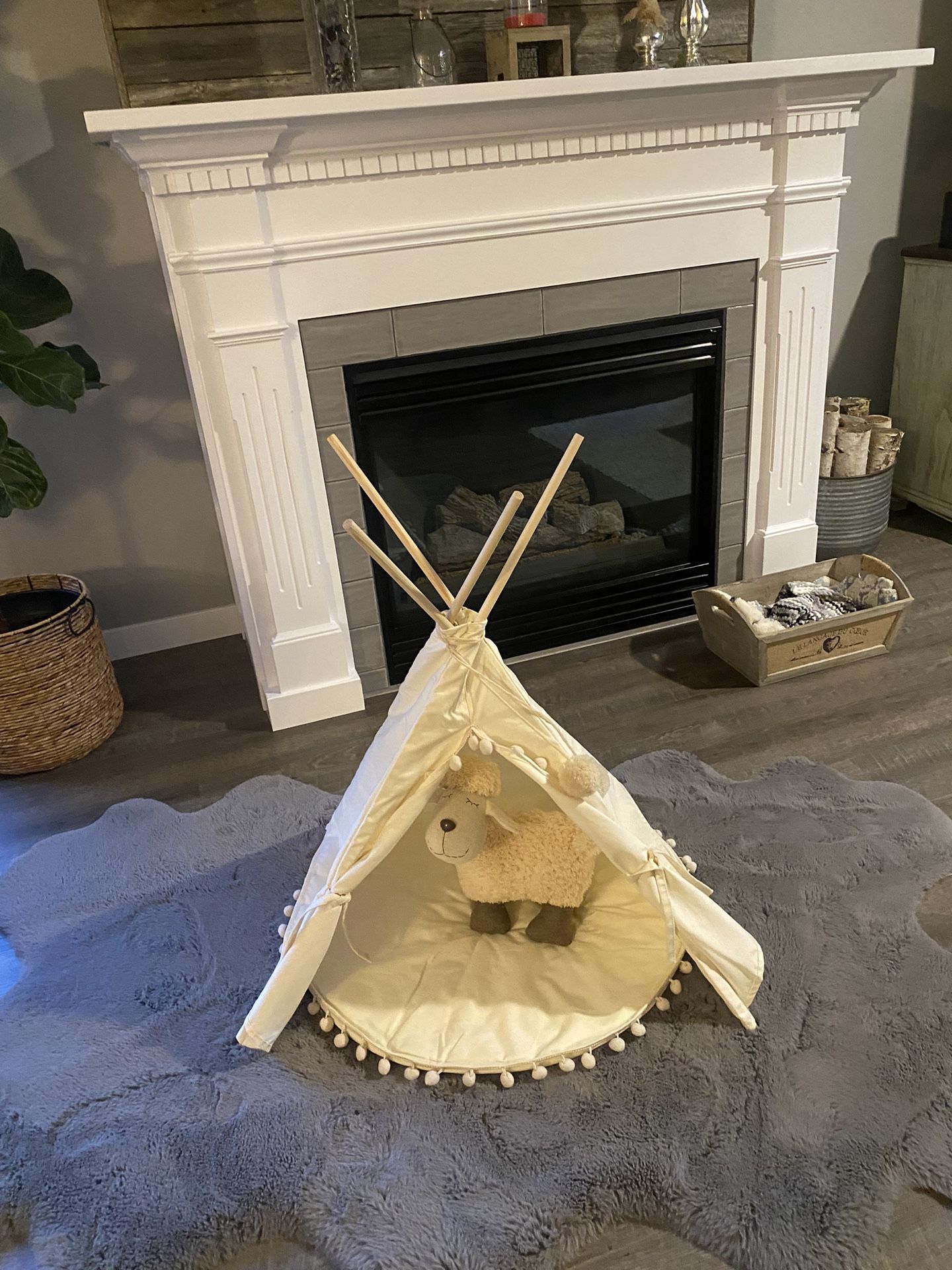 Pet Tent / Teepee