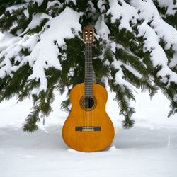 Yamaha Acoustic Guitar