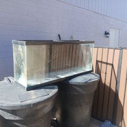 Large Fish Tank Or Animal Terrain 