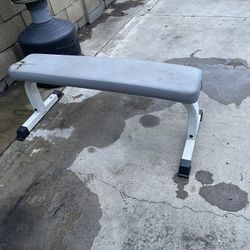 Workout Bench