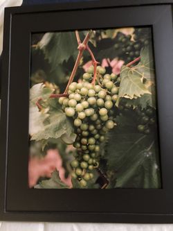Framed Art - “On The Vine”