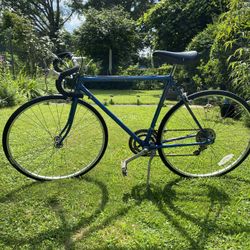 Vintage Schwinn Sprint