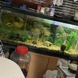 Fish Tank 55 Gallon