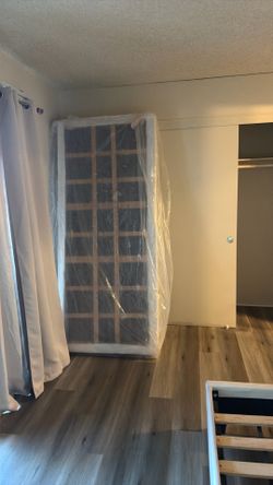 Box Spring