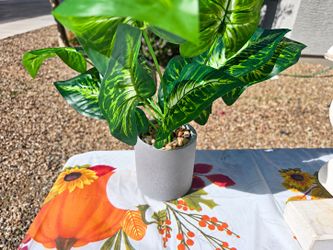 Artificial Tropical Plant in Gray Pot