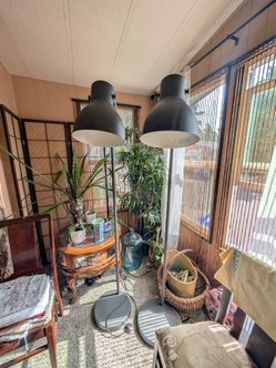 Lamps 72"