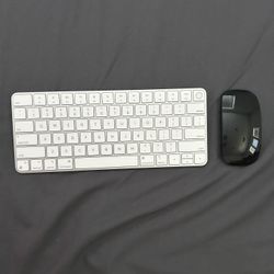 Apple Mouse and Keyboard