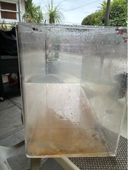 Acrylic Aquarium