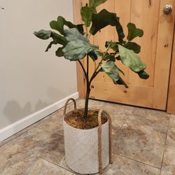 Artificial Plant 