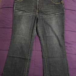 LaneBryant Jeans