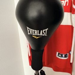 Everlast Adjustable Reflex Speed Bag