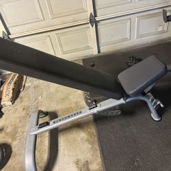 Commercial Workout Bench - Paramount