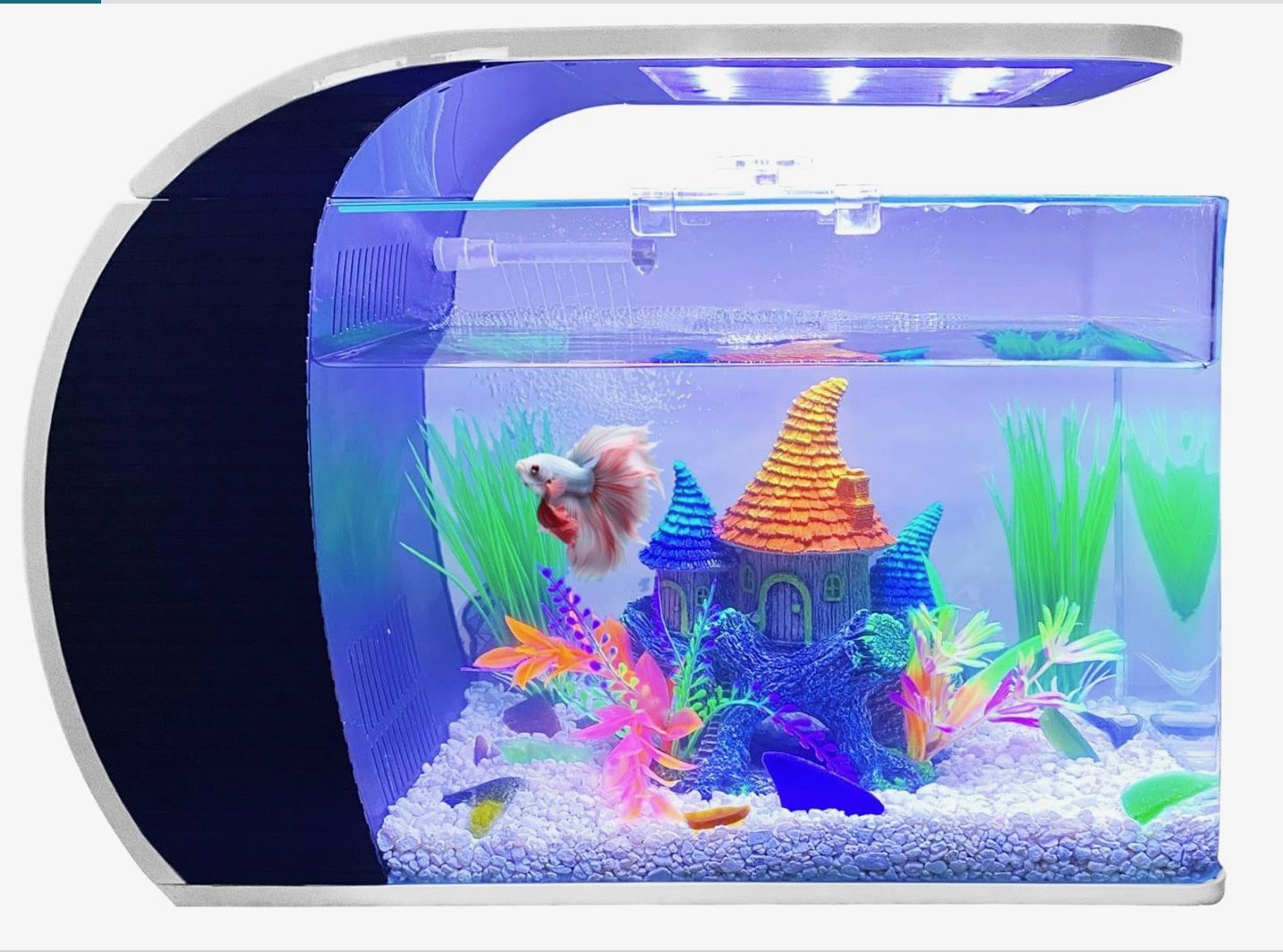 5 Gallon Arc-Shaped Glass Fish Tank Aquarium w/LED Lights - Kit w/Filter, Pump, Media & More