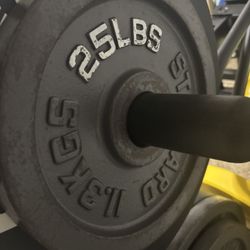 2" Cast Iron 25LB Standard Gym Plates - Pair