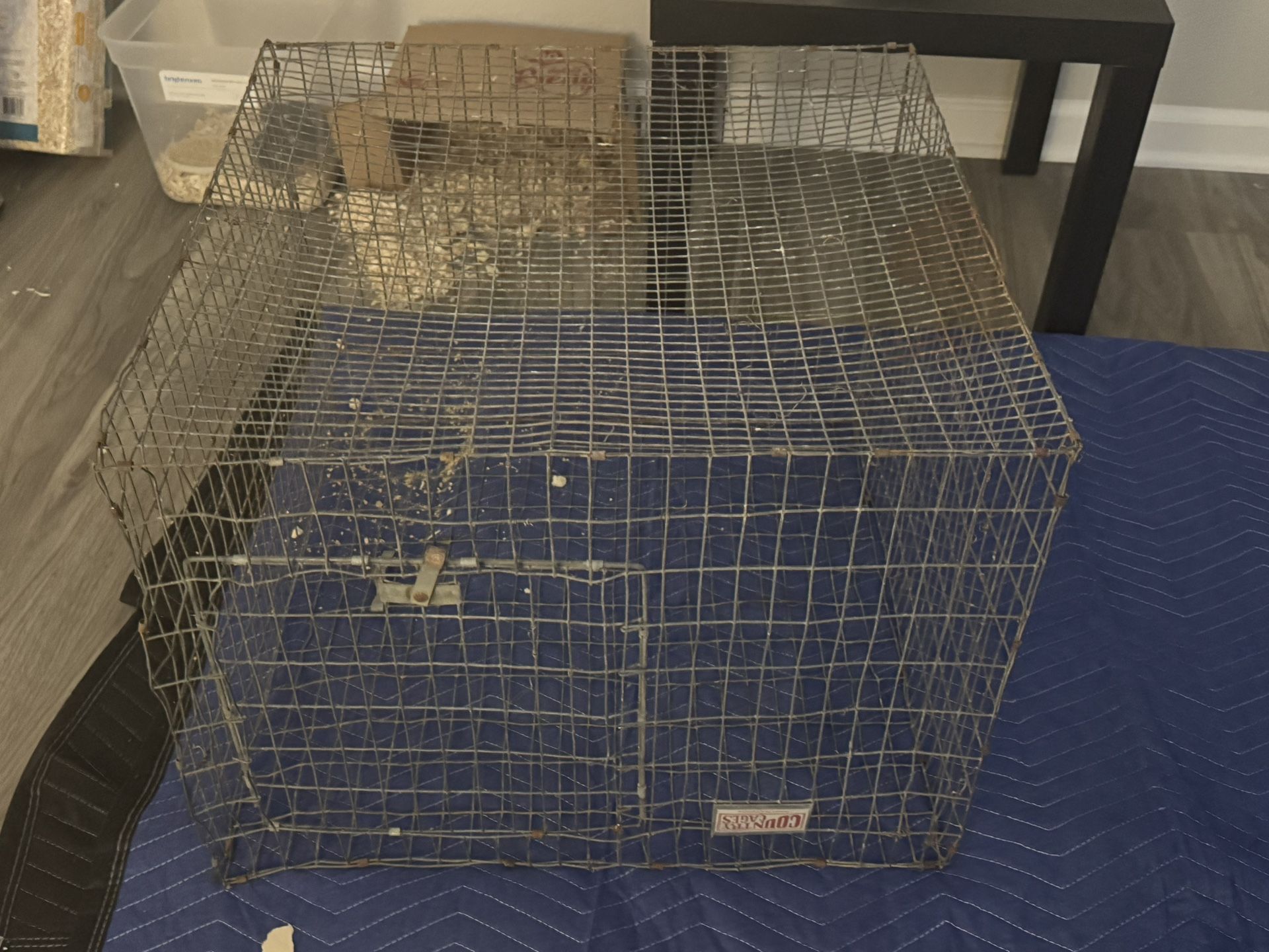 Egg Laying Starter Kit Including Cage, Bedding, And Feed