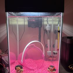 Whole Set 10 gallon fish Tank Comes With Everything
