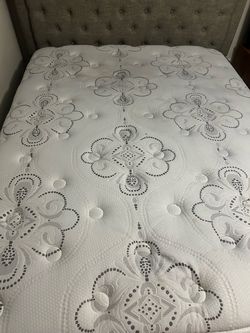 Free Queen mattress