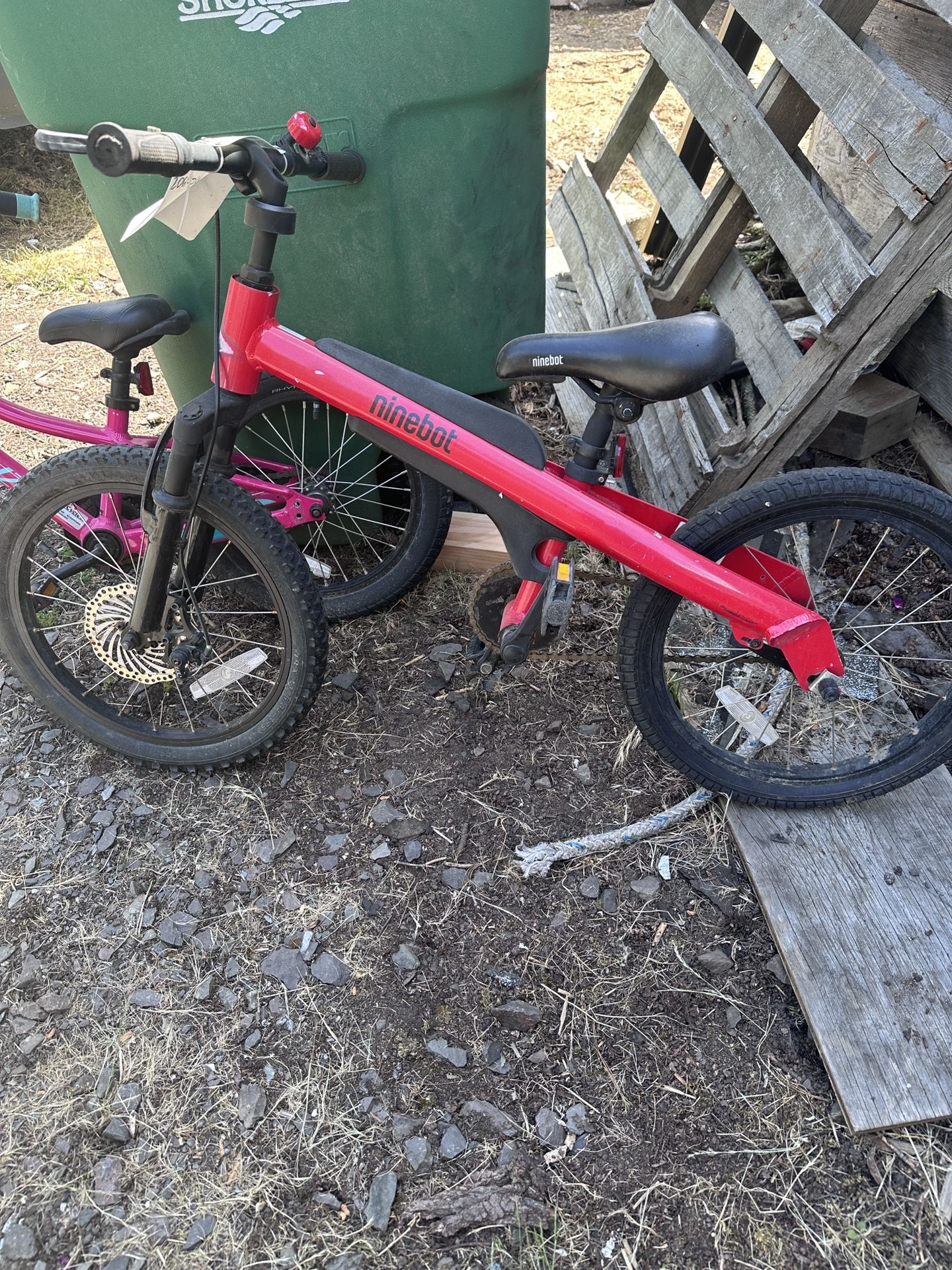 Kids Ninebot Bike