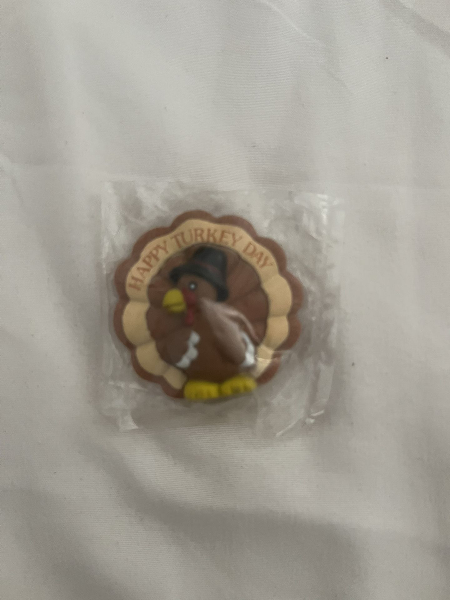 Brand New Thanksgiving Brooch Pin
