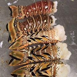 Caribbean Lobster Tails – 7oz (Dozen) – Fresh & Local Delivery
