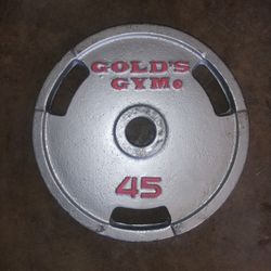 45lb Single Weight Plate/ Gym Equipment/ Weights 