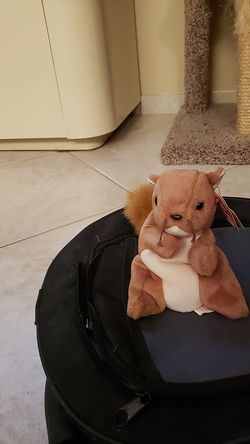 Beanie baby - Squirrel