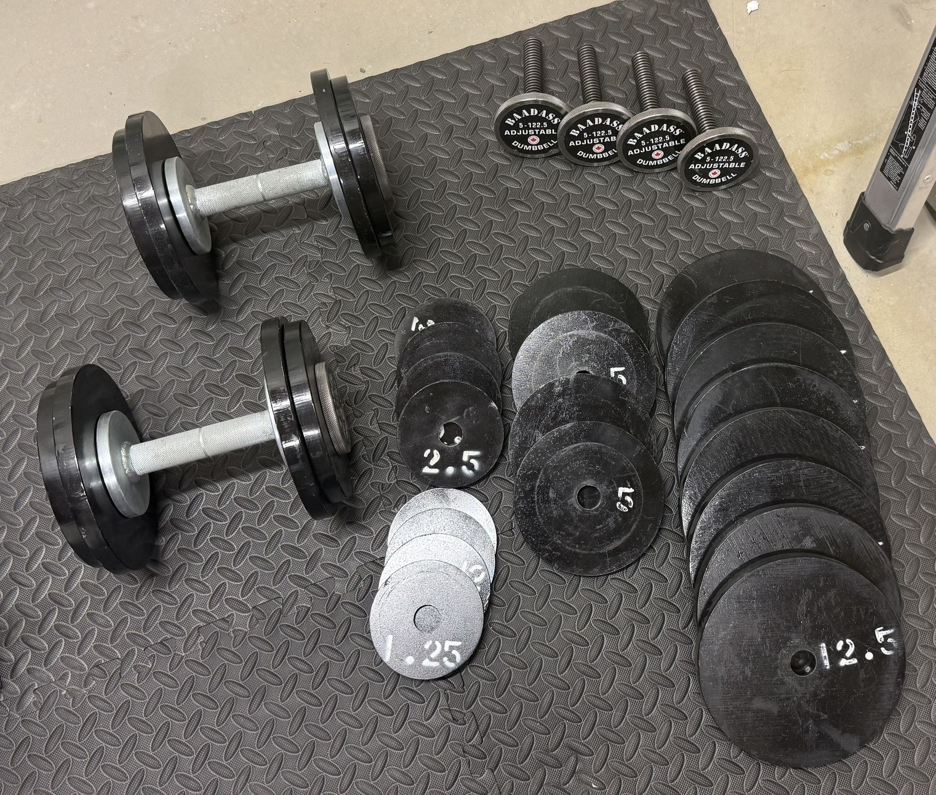 BAADASS Adjustable Dumbbells And Titan Fitness Stand