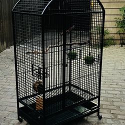 Large Bird Cage / Jaula Grande 
