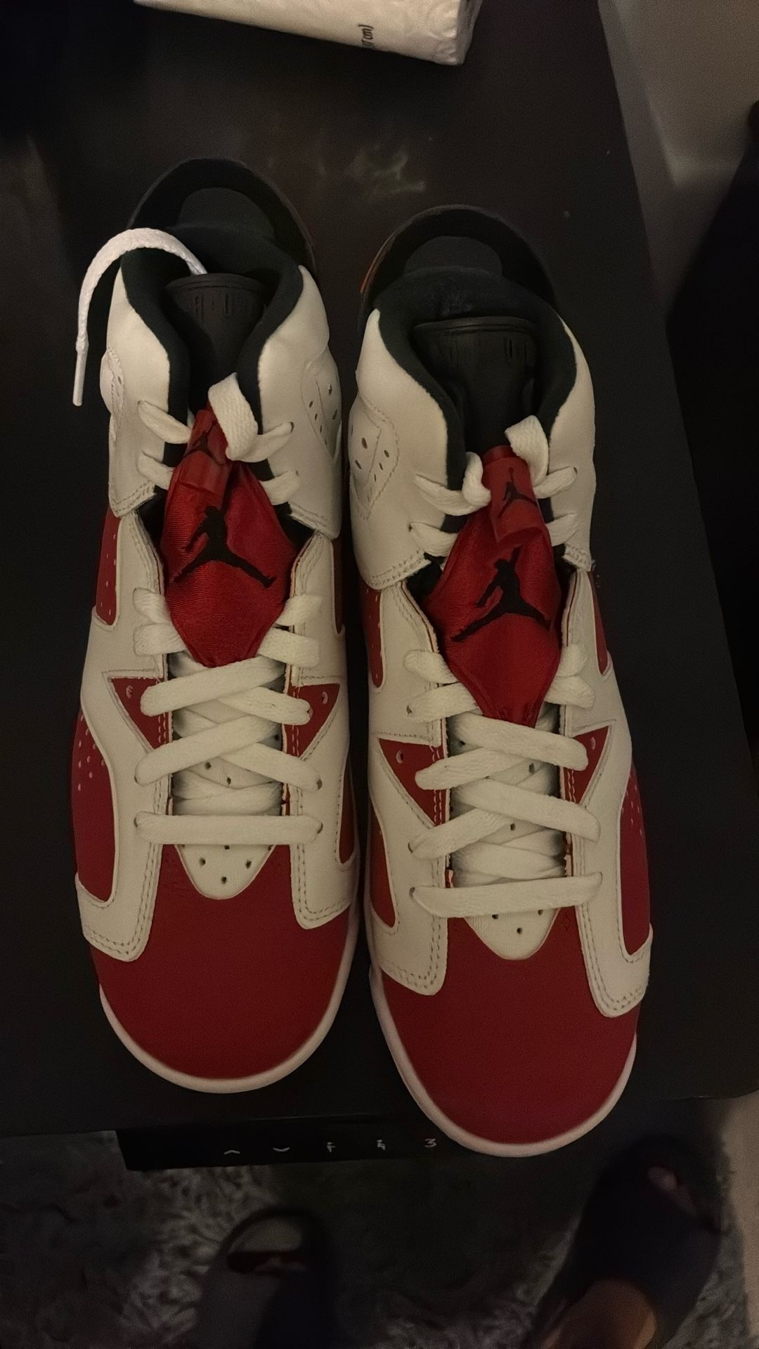Air Jordan 6 Carmines Gs 