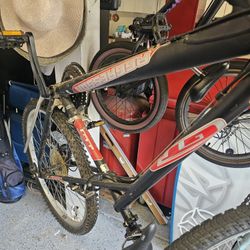 GT Aggressor Mountain Bike