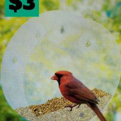 NEW Clear Birdfeeder 🦜