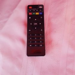 TV REMOTE CONTROLLER