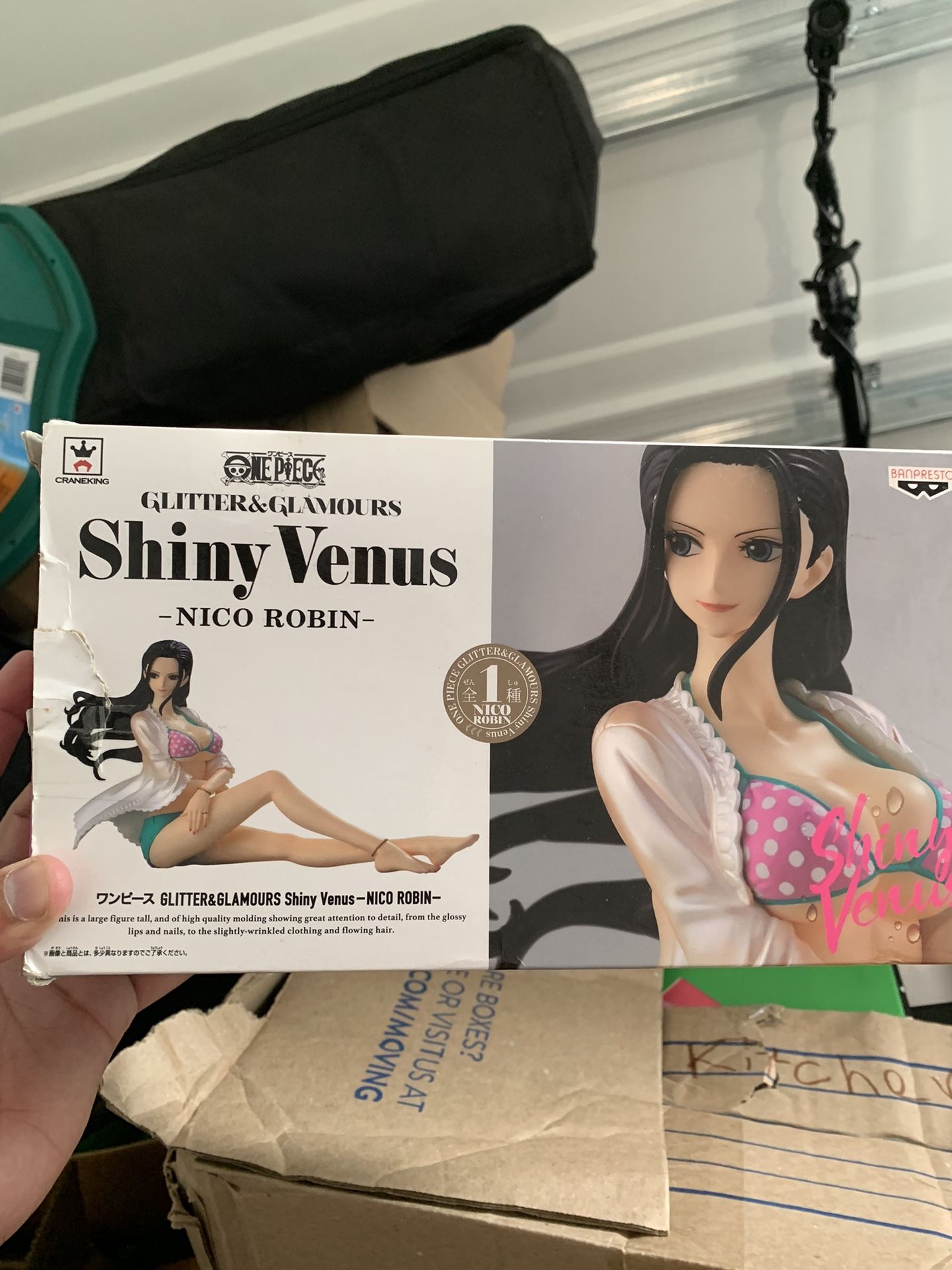 Nico Robin Anime Figure (One Piece)