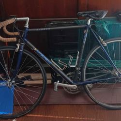 Vintage 2200 Carbon Trek Bike