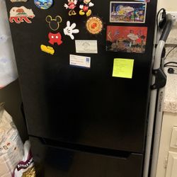 Insigna Bottom Freezer