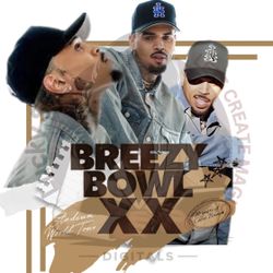 Chris Brown Ticket  