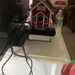 School Bird House
