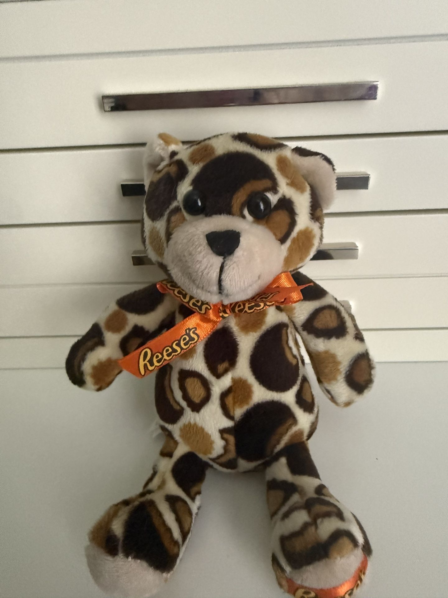 teddy bear 