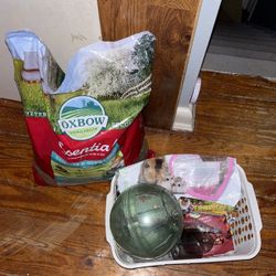 Complete Hamster Setup And Supplies All You Need Is A Hamster