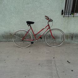 Beach Cruiser