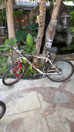 1999 Trek Mountain Bike