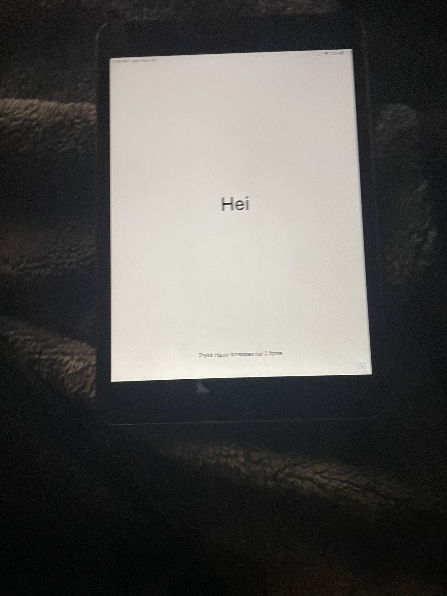 iPad Mini 4