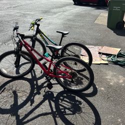 24” Trek bikes
