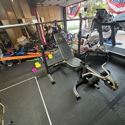 Gold’s Gym Bench/Squat w/Bar