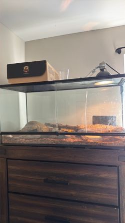 40 gallon reptile tank