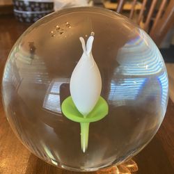 Glass Ball With Flower In It