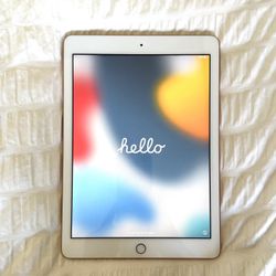 iPad rose gold