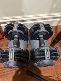 Bowflex Dumbbell